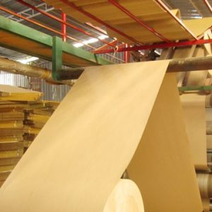 SẢN XUẤT GIẤY CARTON