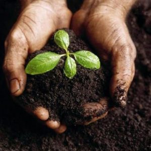 SẢN XUẤT PHÂN BÓN